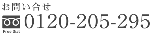 0120-205-295